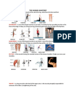 Human Anatomy 1