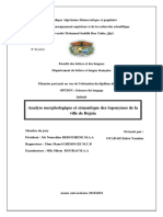 Analyse Morphologique Et Sémantique Des Toponymes de La Ville de Bejaia