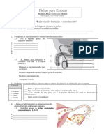 Ficha Ciencias 6 Ano Reproducao