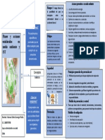 Mapa Mental Planes y Acciones