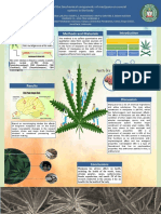 Methods and Materials: The Influence of The Biochemical Components of Marijuana On Several Systems in The Body