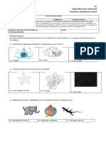 P. Diagnostica - Cs. Naturales 1º Básico