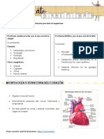 Aparatos, Sistemas y Metabolismo