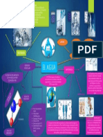 Mapa Mental Bioquimica El Agua