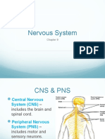 Nervous System