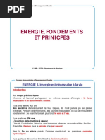 Chap I Energies Fondements Et Principes