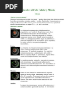 Guía Sobre El Ciclo Celular y Mitosis