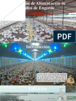 Simulación de Alimentación de Pollos de Engorde