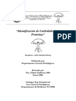 Identificacion de Carbohidratos y Proteinas