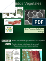 PDF Tejidos Vegetales