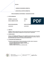 Clase 4.5 Desarrollo Sostenible. - Diagrama