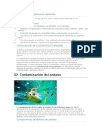 Causas de La Contaminación Ambiental