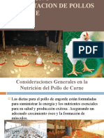 Aliment. D Pollos de Carne