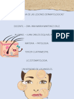 Lesiones Dermatologicas