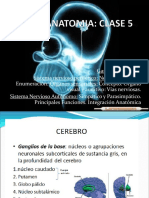 NEUROANATOMIA 