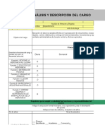 Formato Perfil Del Cargo y Analisis de Puesto