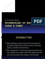 Microbiology Bacteria Virus Fungi