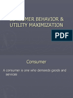 Consumer Behavior Utility Maximization