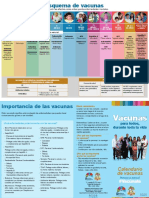 Esquema de Vacunas IGSS