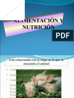 Alimentacion y Nutricion Animal para Mañana