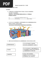 Trabajo Diagnostico 3 Bruno