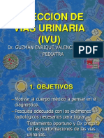 Infeccion Urinaria (Ivu)