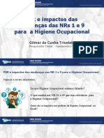 PGR e Impactos Das Mudanças Das NR&#039 s1 e 9 para A Higiene Ocupacional