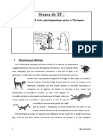 Construire Un Arbre Phylogénétique