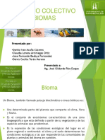 Biomas 151123034611 Lva1 App6892