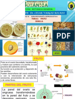 Teoría Clase 13 Fruto Semilla