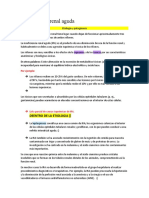 RESUMEN Insuficiencia Renal Aguda