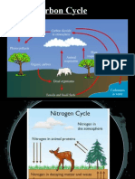 Unit 10 Ecology Standard Bio