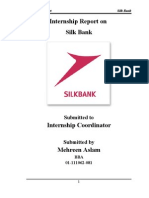 Silkbank Internship Report