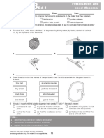 Fertilisation Seed Disp