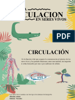 Circulacion en Los Seres Vivos