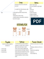 Osteomalácia - Thais Vieira Mapa