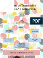 Cadena de Transmisión Hepatitis A y Salmonella