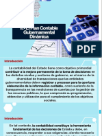 05 Plan Contable Gubernamental