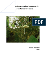 Una Microscópica Mirada A Los Suelos de Los Ecosistemas Tropicales