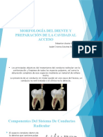 Endodoncia