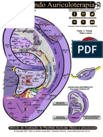 Entendendo Auriculoterapia - MAPA FRENTE PDF