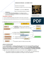 C. NATURALES AP y ANP Nº2