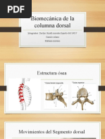 Biomecánica de La Columna Dorsal