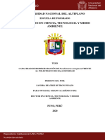 05 CAPACIDAD de BIODEGRADACIÓN de Pseudomonas Aeruginosa FRENTE Al Polietileno de Baja Densidad