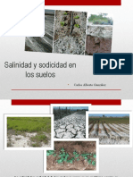 Salinidad y Sodicidad en Los Suelos