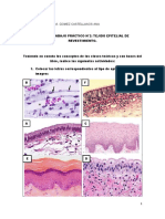 Práctico N2 Histología