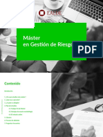 Master Gestion Riesgos