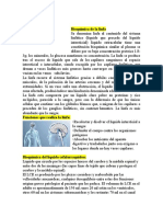 Resumen La Bioquímica y Funciones (Linfa y Liquido Cefalorraquideo) .