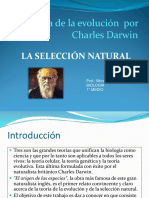 SELECCION NATURAL CLASE1MEDIOs