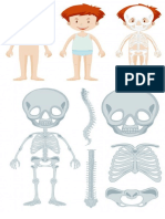 Tarea 1 de Anatomia y Fisiologia Humana